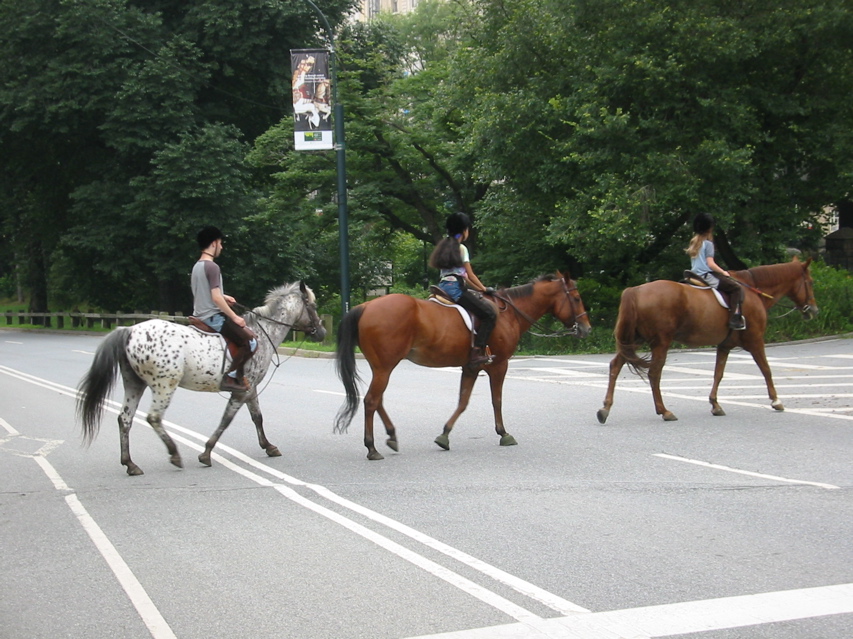 Rich Kids on Horses