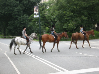 Rich Kids on Horses