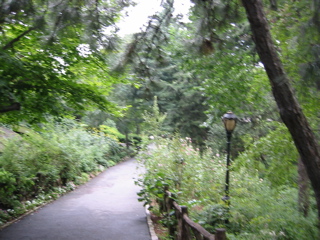 Central Park