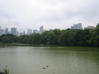 Central Park